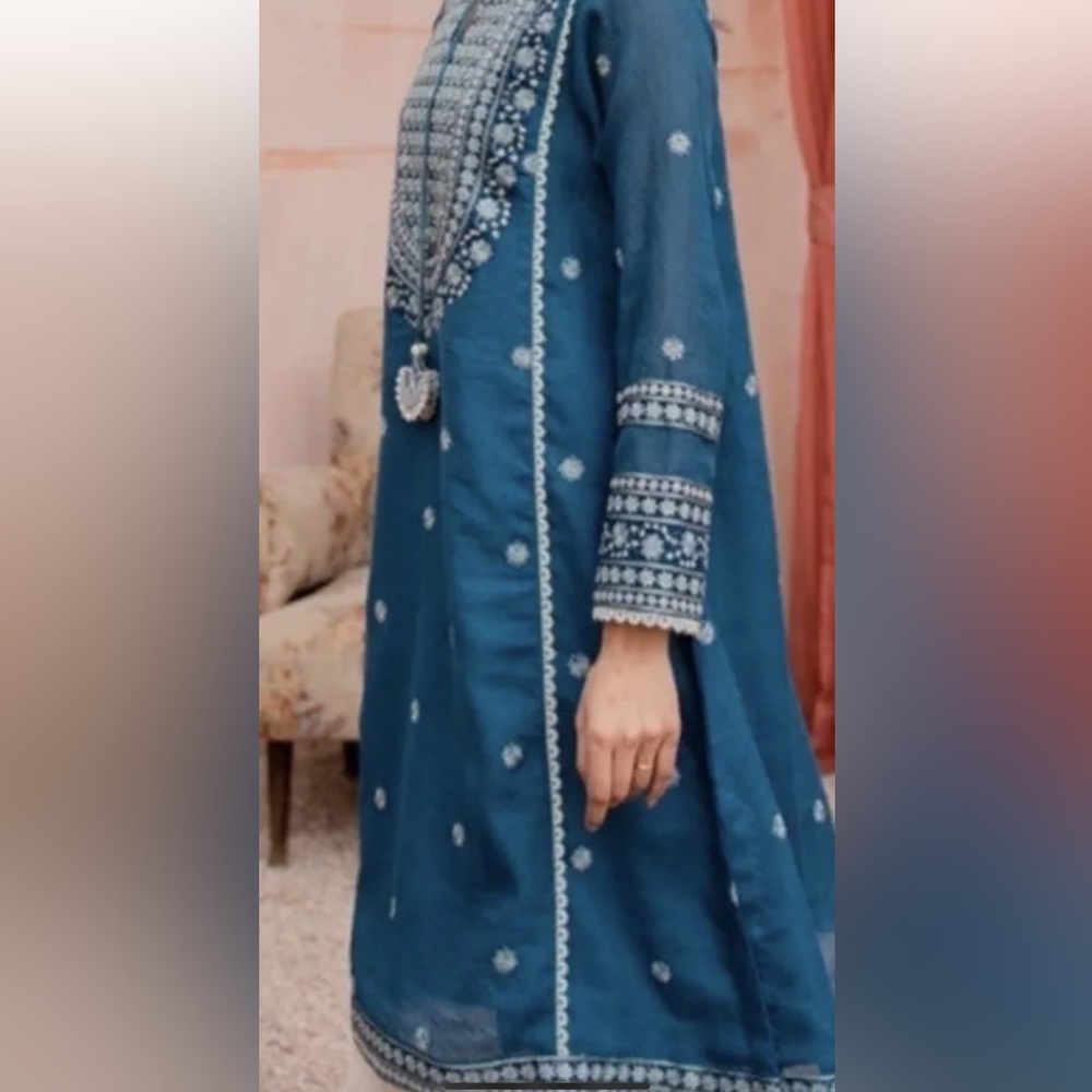 Pakistani Formal Designer Blouse - Picture 7 of 8